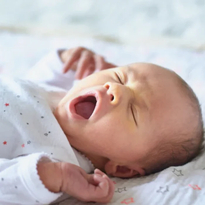 Sleep & Feeding Rhythms